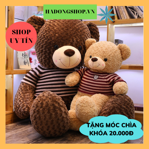 Gấu Bông Teddy Siêu To Khổng Lồ, Dễ Thương, Chất Liệu Bông Cao Cấp, Phù Hợp Làm Quà Tặng Ý Nghĩa Size 60cm, 80cm, 1m, 1m2, 1m4, 1m6 - HAUNNISHOP.VN