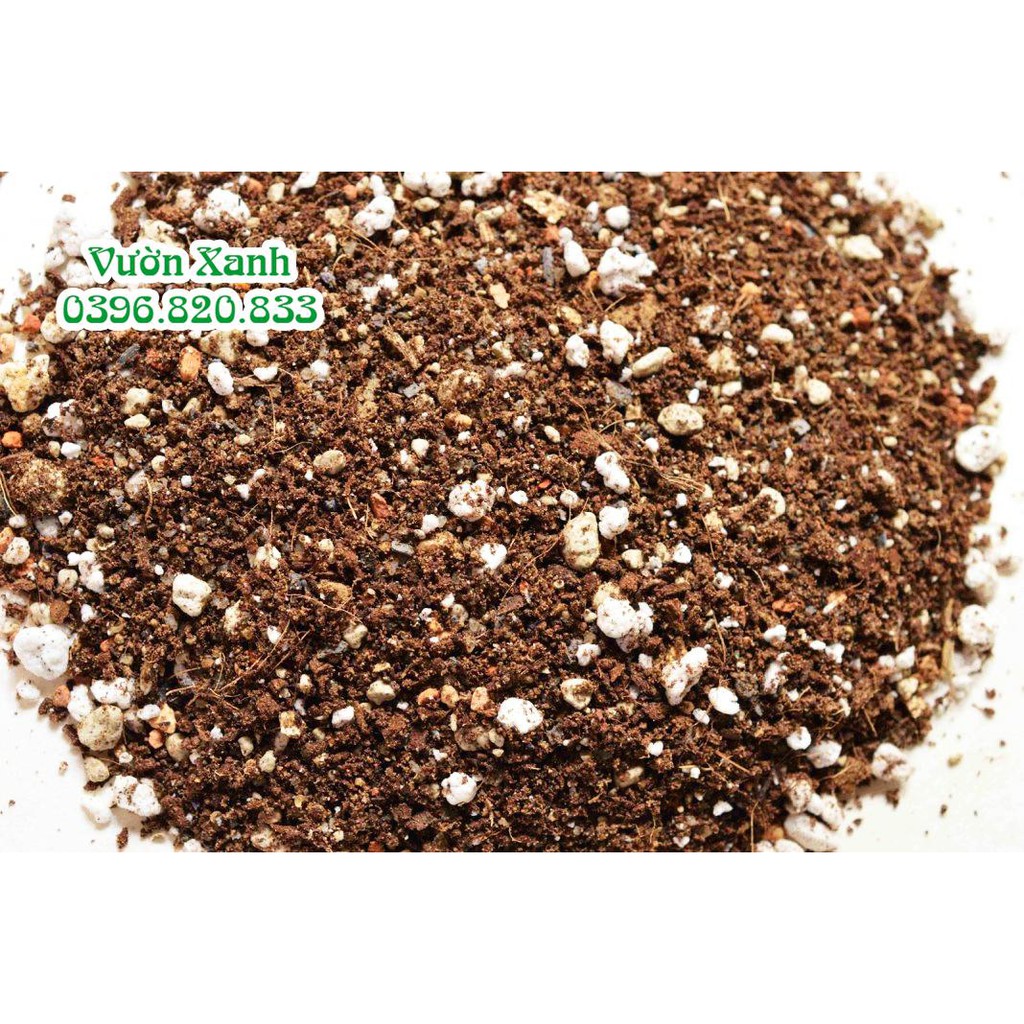 Đá Vermiculite nâu trồng cây cảnh gói 8dm3 trộn đất trồng sen đá, bonsai, xương rồng