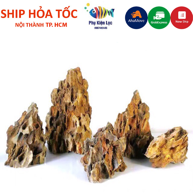 Đá tiger trang trí setup bể cá cảnh thuỷ sinh