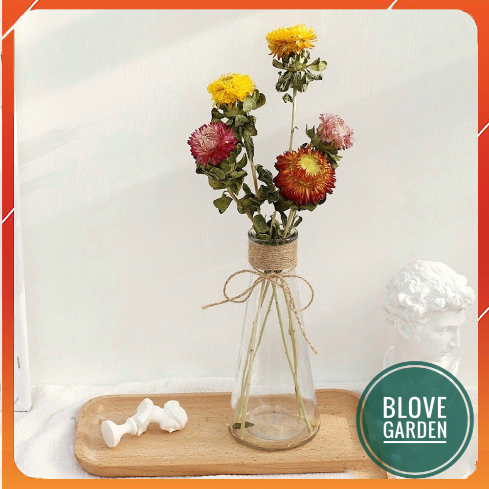 Ọ hoa thắt eo, Bình thủy tinh cuốn dây thừng, dây gai cuốn decor, trang trí để bàn, phòng khách, bàn làm việc