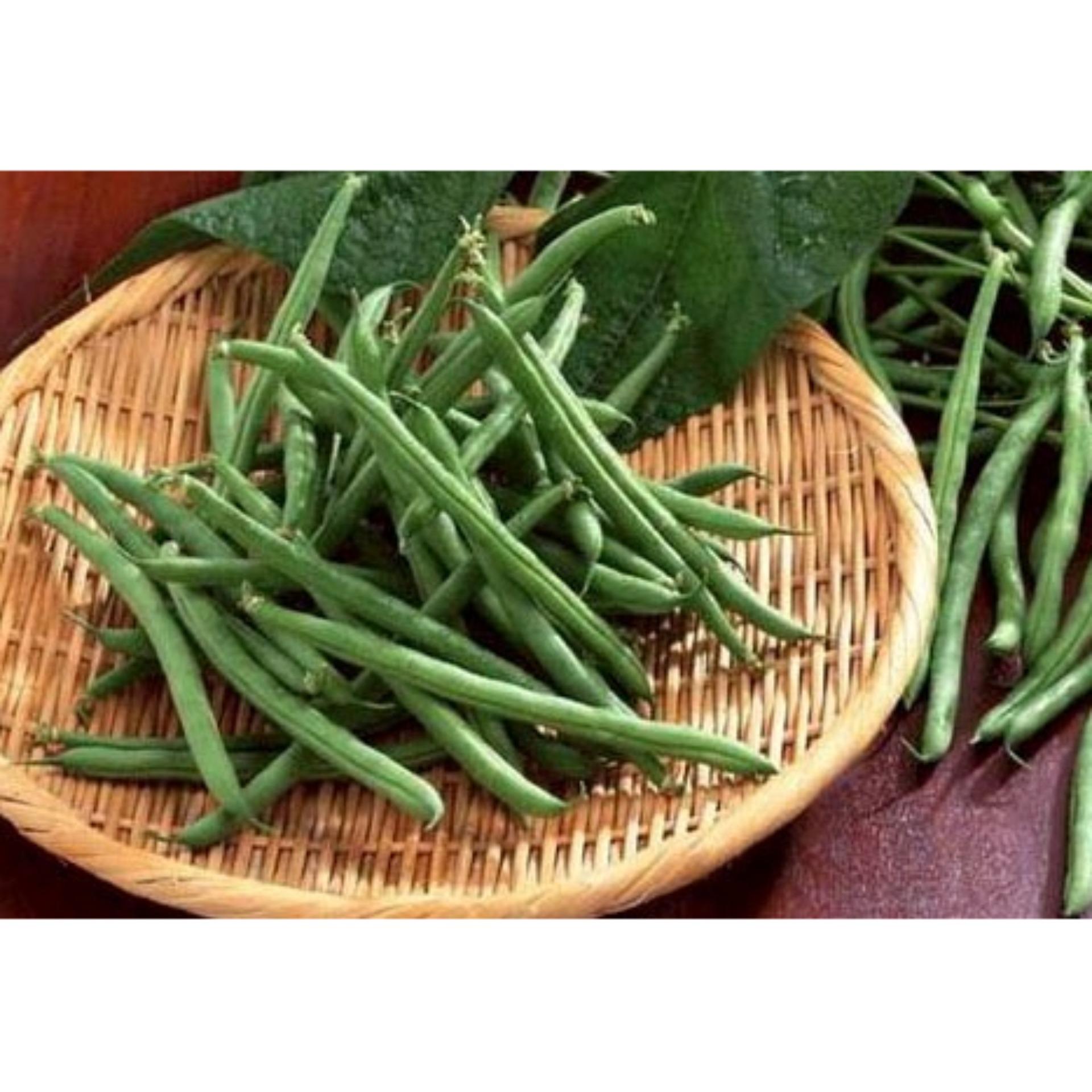 Hạt giống đậu trạch leo đậu cove xanh leo gói 50gr