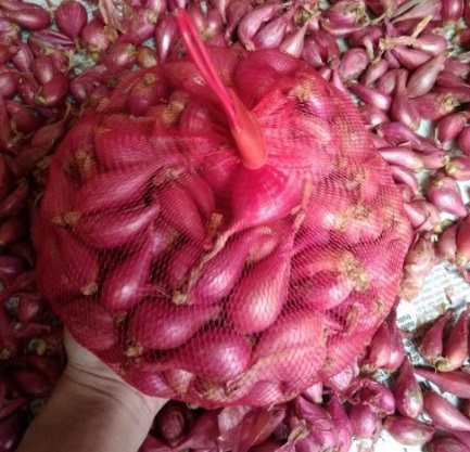 [FreeShip] Hành Tím lý sơn Khô -Loại 1 Củ To Chắc Dễ Bóc Hàng Chất Lượng , thơm ngon , chắc nịch 2023