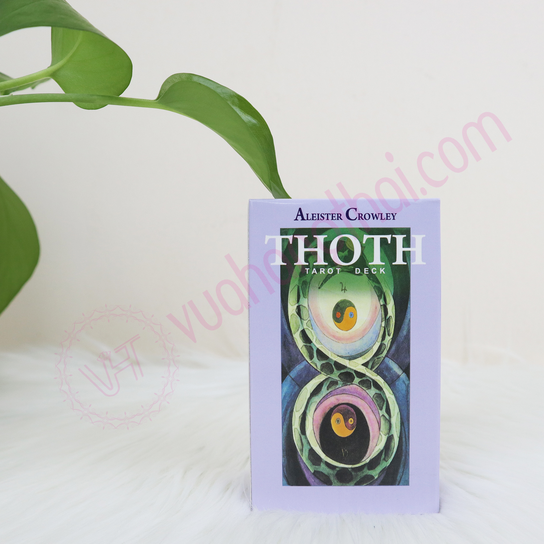 [HCM]Bộ Bài Bói Tarot Aleister Crowley Thoth Tarot Cao Cấp