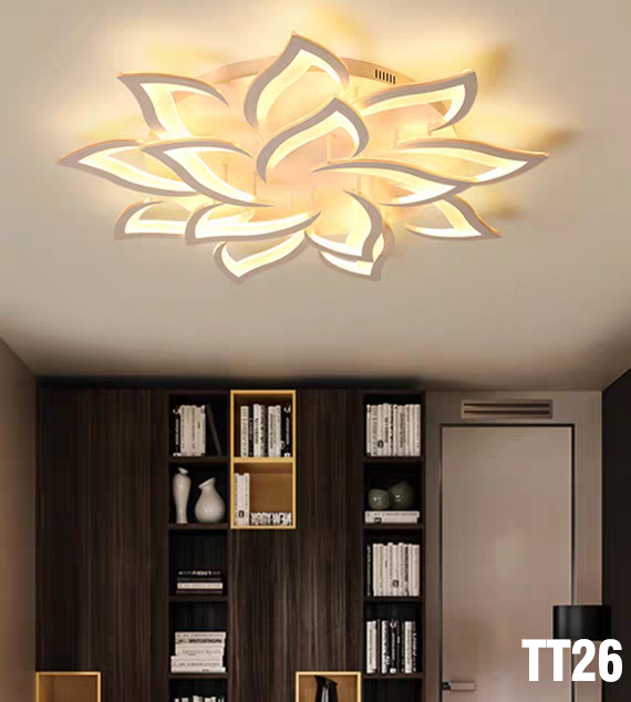 Đèn Ốp Trần Trang Trí – Đèn Áp Trần Trang Trí Phòng Khách, Gồm 3 Chế Độ Ánh Sáng, Có Điều Khiển Từ Xa Tiện Dụng – BIO116