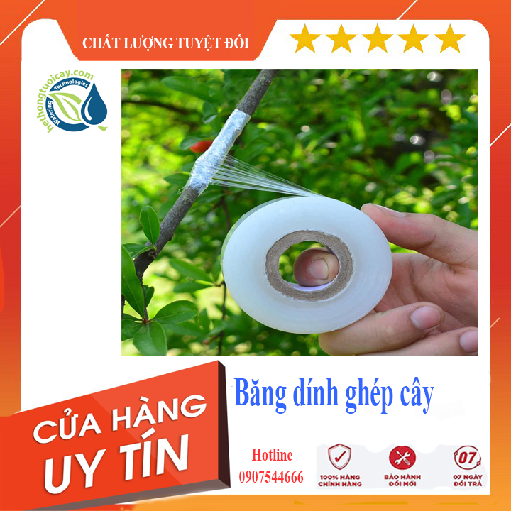 Băng dính ghép cây, băng keo chiết cành tự dính, tự hủy dùng để ghép chiết cành cuộn 120m