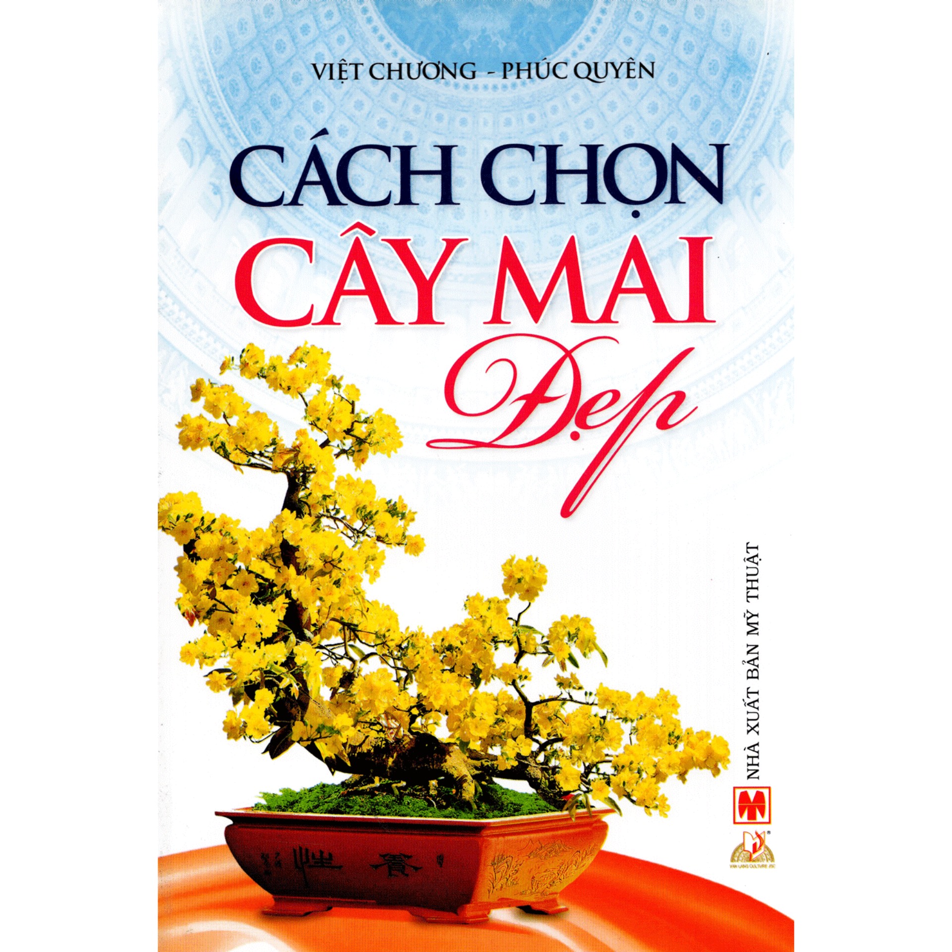 Cách chọn cây mai đẹp