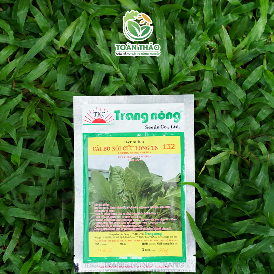 Hạt giống cải bó xôi Trang Nông 20Gr - Hạt Giống Rau Chân Vịt Dễ Trồng, Chịu Nhiệt