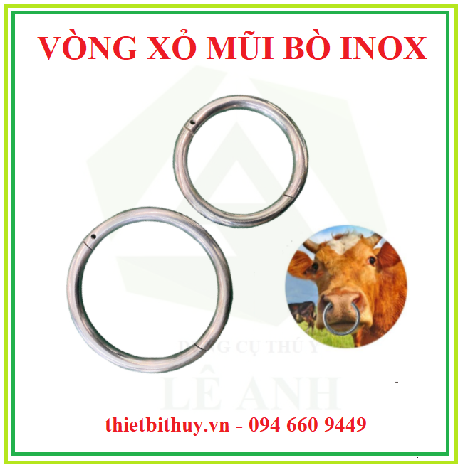Vòng xỏ mũi bò inox không rỉ