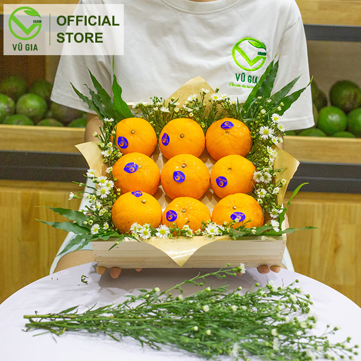 [ GIỎ QUÀ BIẾU ] VG FARM Quà Tặng Hộp Gỗ Gồm 9 Quả Quýt Úc Citrust Size 48 (1,5kg Quýt Úc)