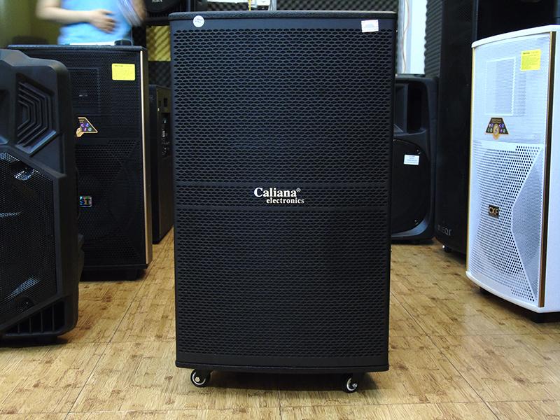 [Trả góp 0%]Loa kéo di động Caliana WD-15A / WD15A (4 Tấc - 800W)+ Tặng chống lăn micro cao cấp