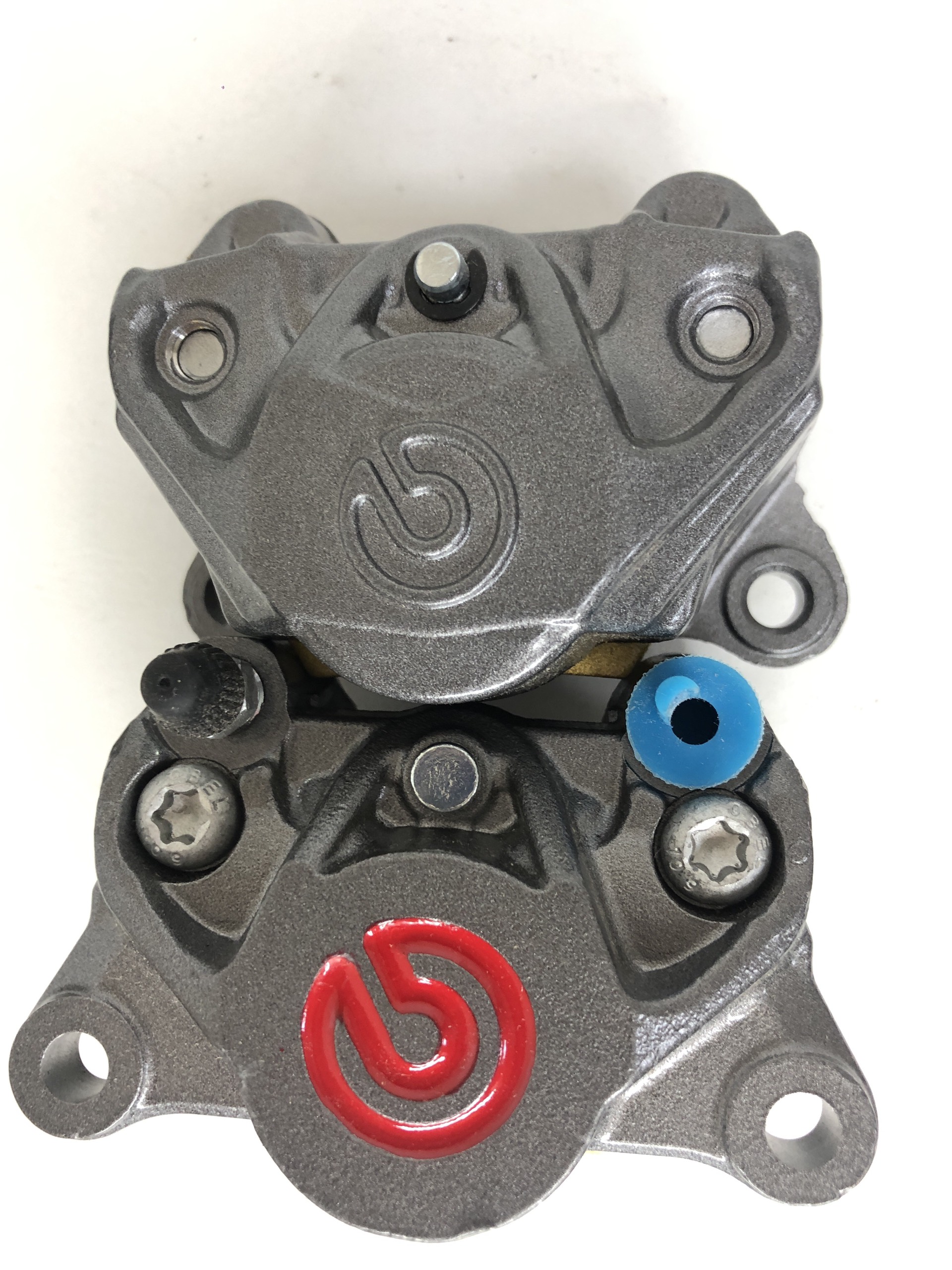 Heo 2 Pis đối xứng Logo Xanh Lớn Cho Mọi Loại Xe