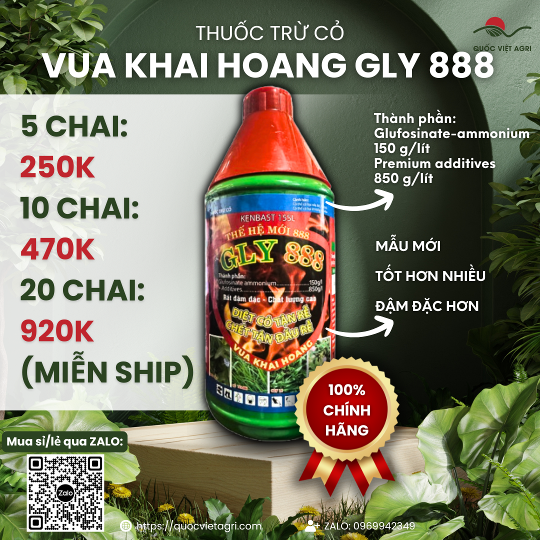   1 chai - 1 thùng  Thuốc trừ cỏ lưu dẫn VUA KHAI HOANG GLY 888  chai 900ml  - Glufosinate ammonium 150 g lít 