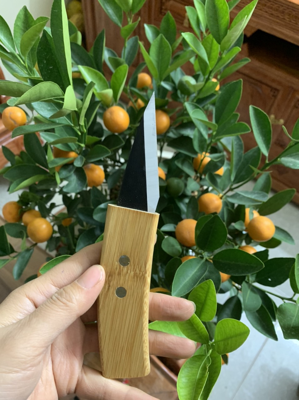 Hàng chính hãng - dao ghép cây ry-u.ga cực sắc bén