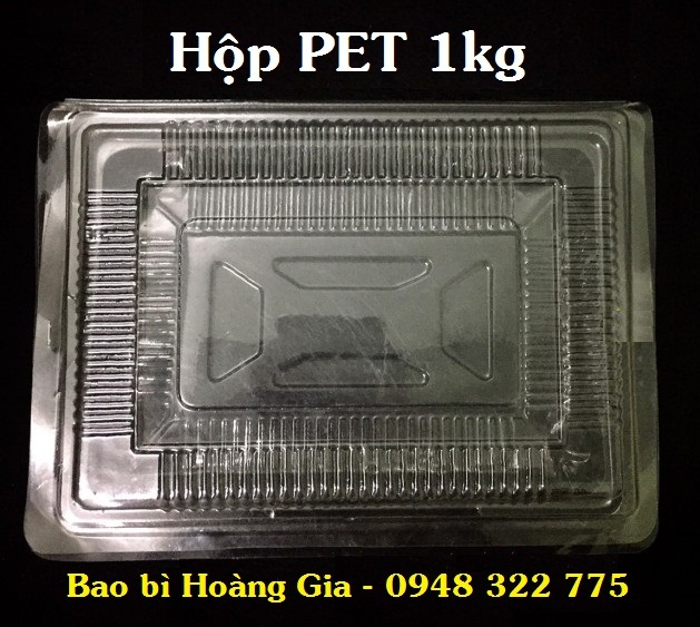 100 Hộp nhựa PET trong 1kg (TA01)