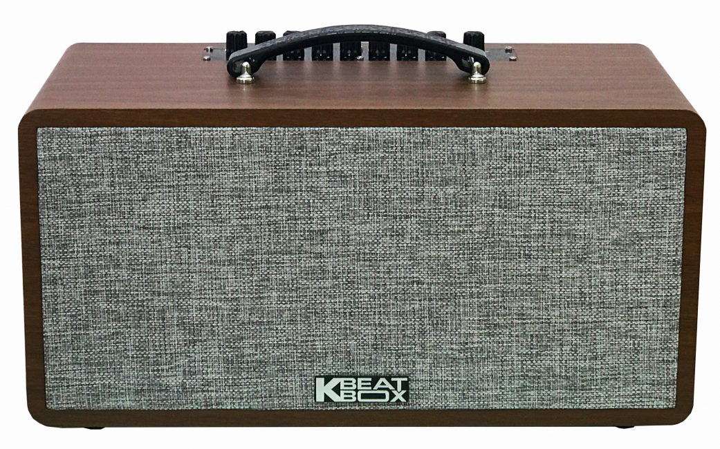 [HCM][Trả góp 0%]Dàn Âm Thanh Di Động ACNOS CS390