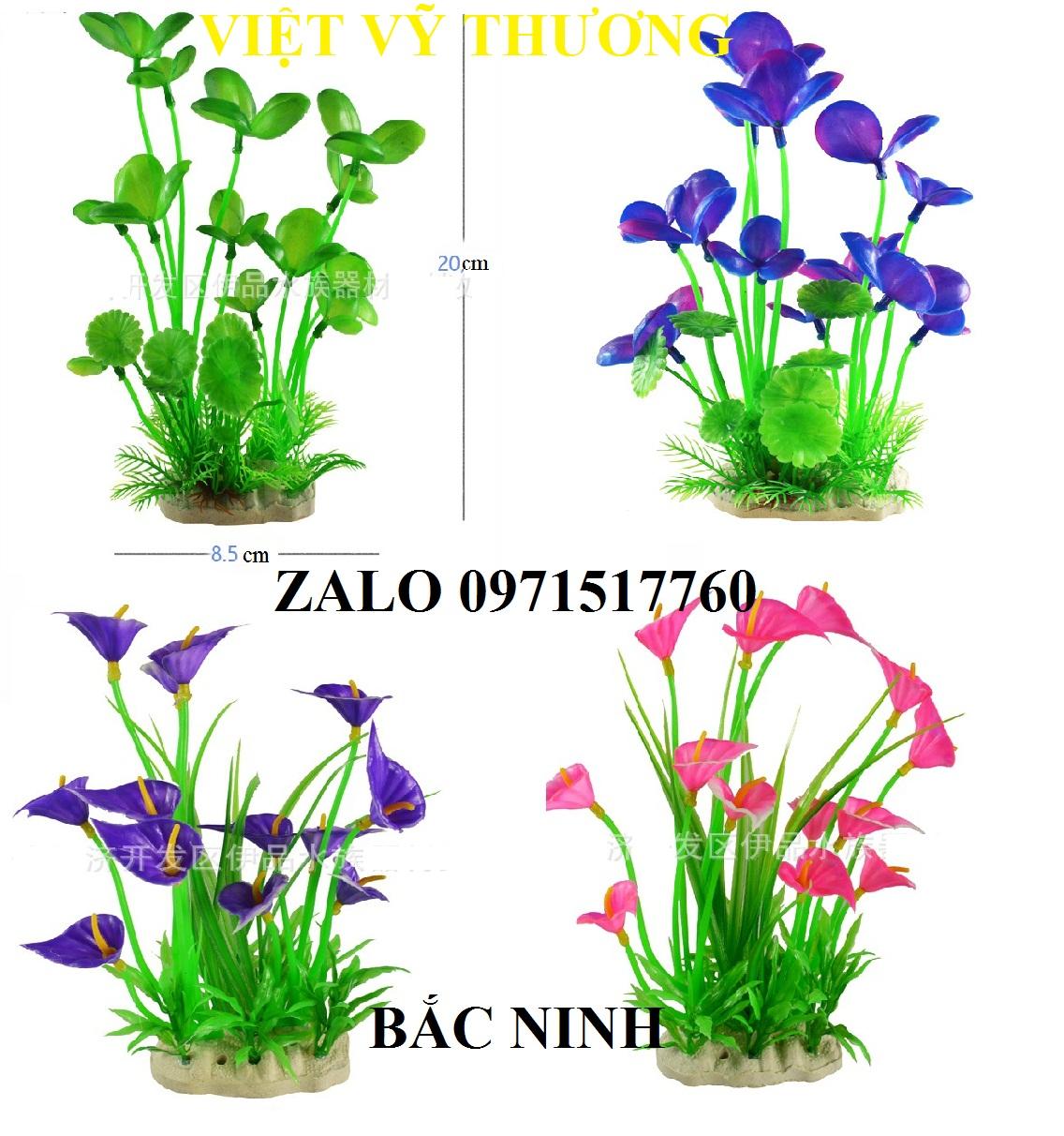 Cây Cỏ hoa trang trí bể cá nhiều màu 20cm