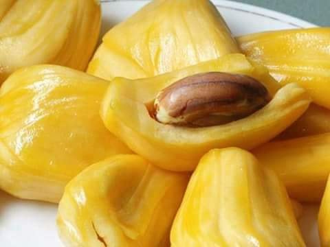 Cây giống mít ta trồng hạt chuẩn giống ngon loại có mật ống múi dài