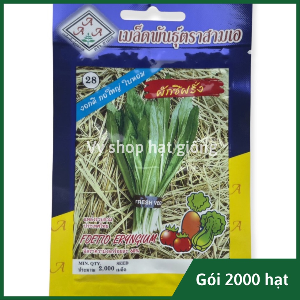 Hạt giống rau mùi tầu Thái Lan gói 2000 hạt