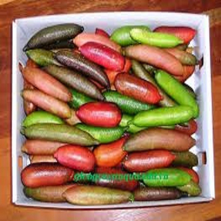 ahGBqPfVuVmJZ5oide5T_simg_d0daf0_800x1200_max.jpg