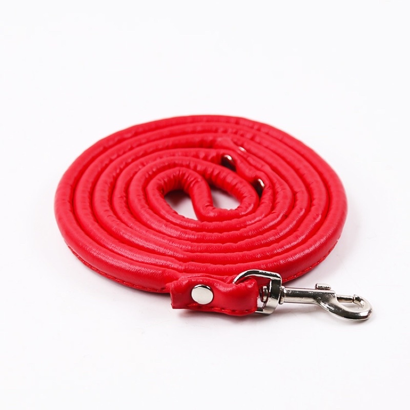 Dây dẫn thú cưng loại da 1m2
