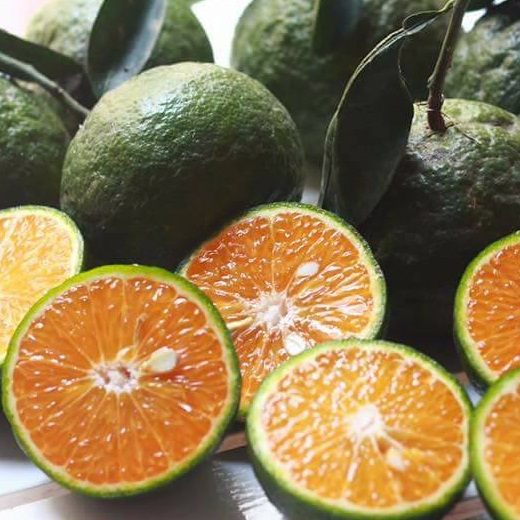 Cam với tác dụng của quả cam và cách dùng quả cam chữa bệnh ra sao