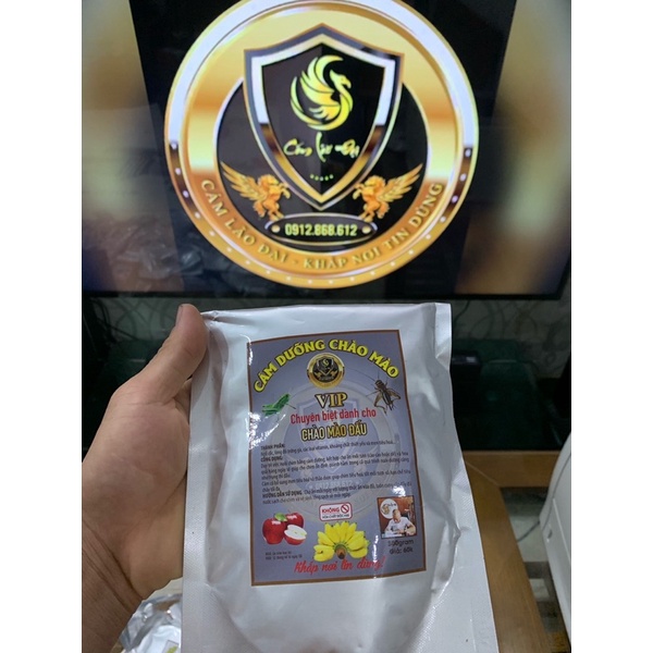 Cám dưỡng chào mào lão đại