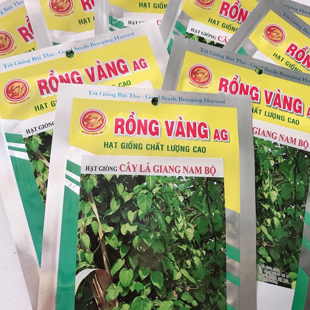 Hạt giống lá giang Nam Bộ gói 5 hạt/gói