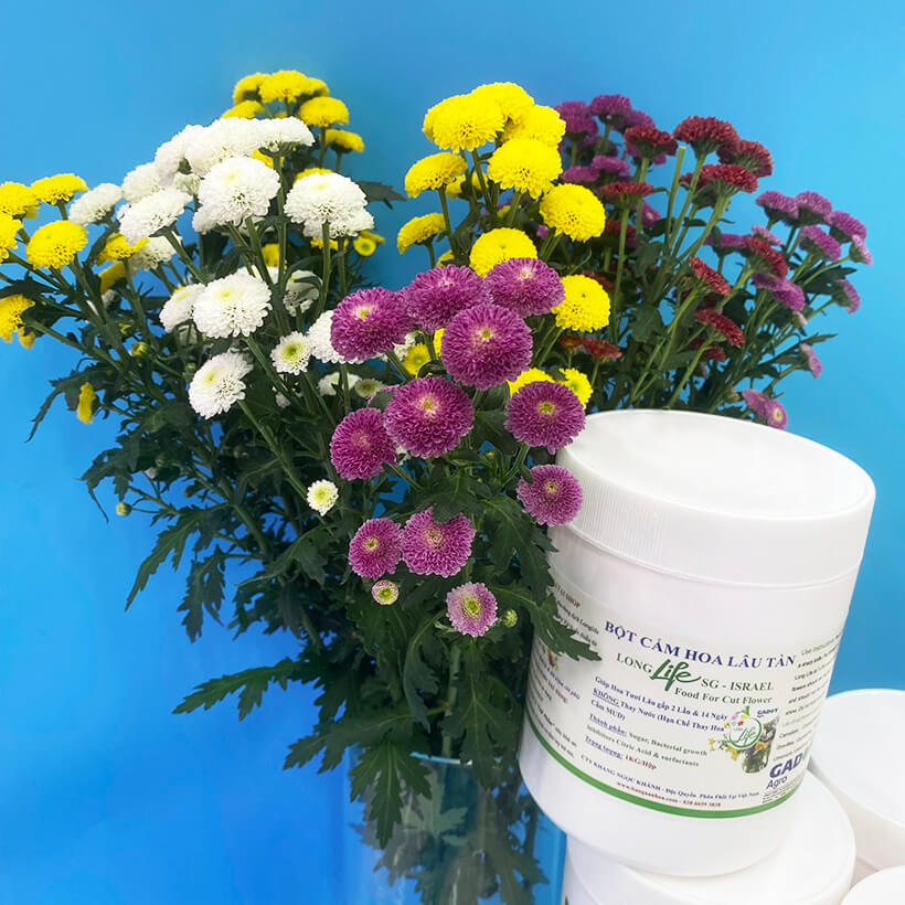 Hủ 1KG Bột Dinh Dưỡng Hoa Lâu Tàn dành cho Shop Hoa Vựa Hoa hiệu Longlife SG nhập khẩu Israel giúp bảo quản hoa cắm MUD tươi gấp 2 lần bình thường và Hạn chế thay hoa định kỳ