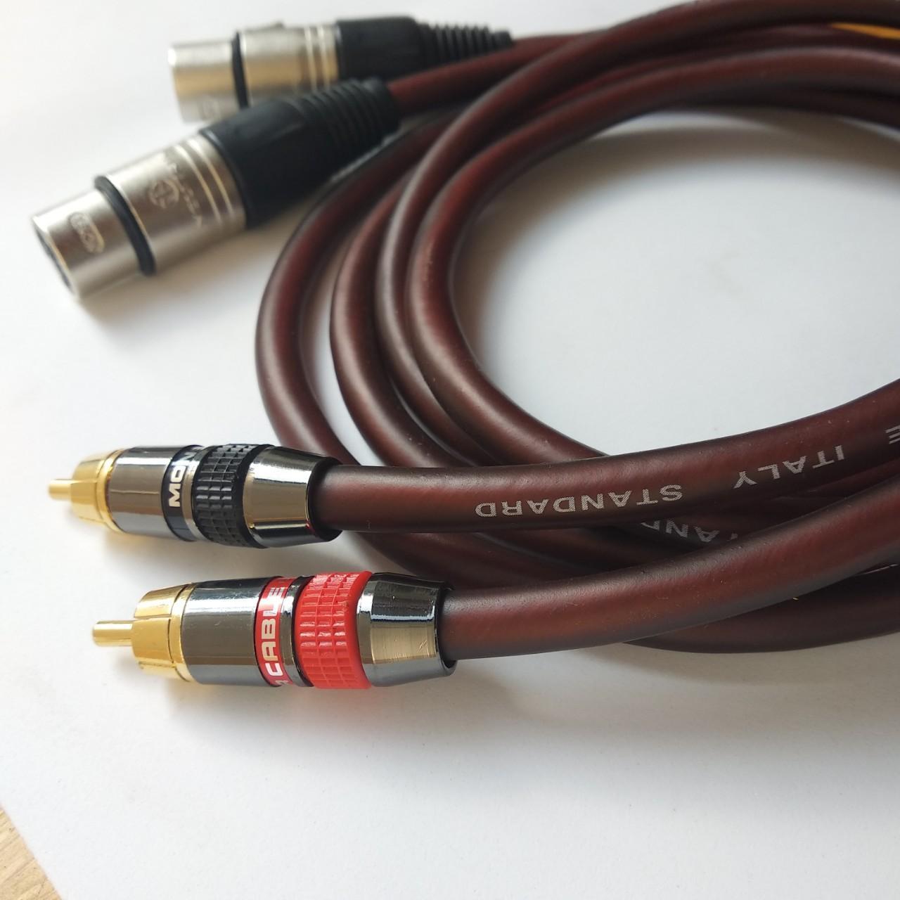 Cặp dây jack canon cái ra av 1m