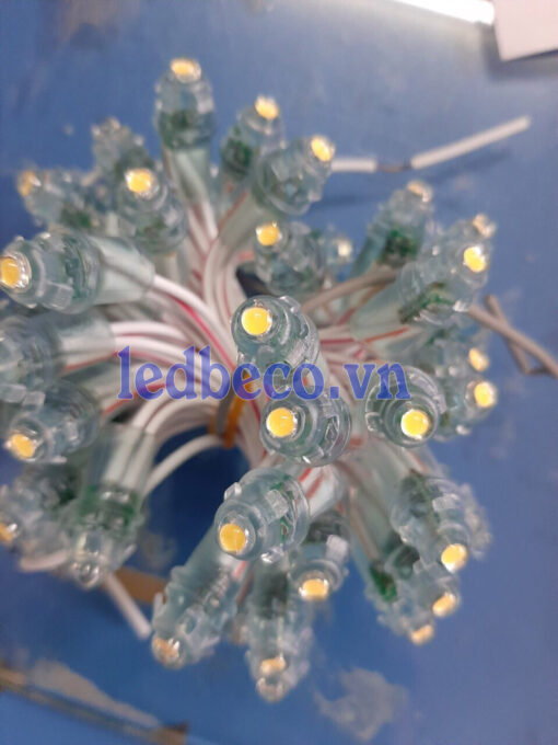 Led đúc phi 5 đế 8mm xqd-ledbeco