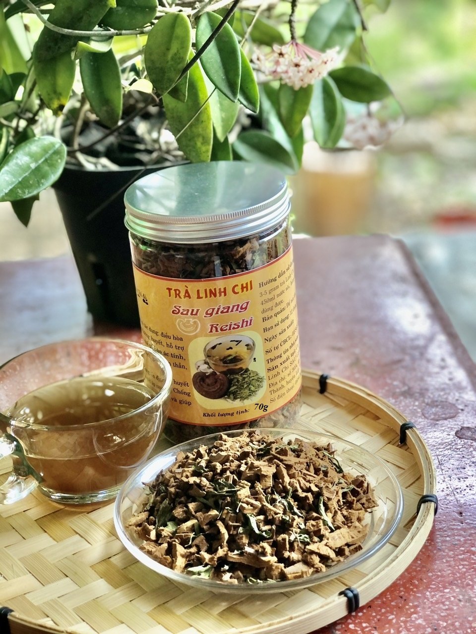 Trà linh chi sau giang reishi
