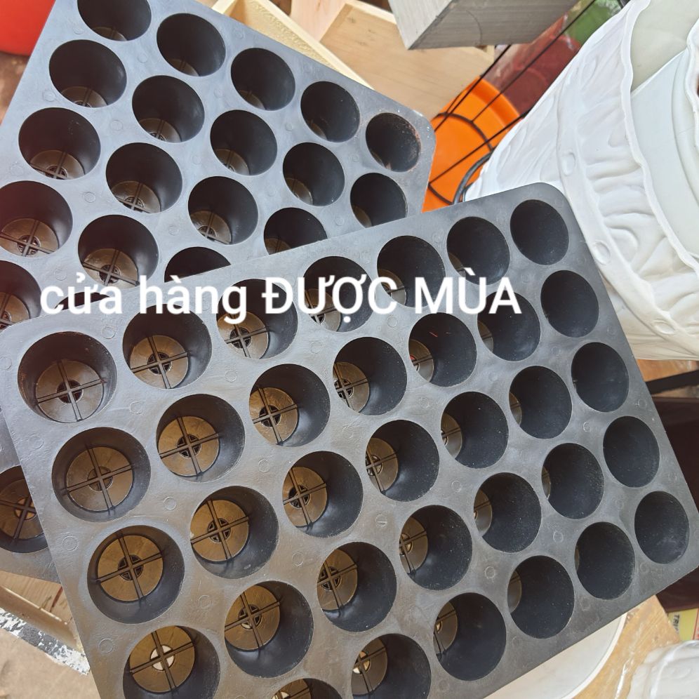 2 cái vĩ ươm cây, khay ươm 35 lỗ loại dày.