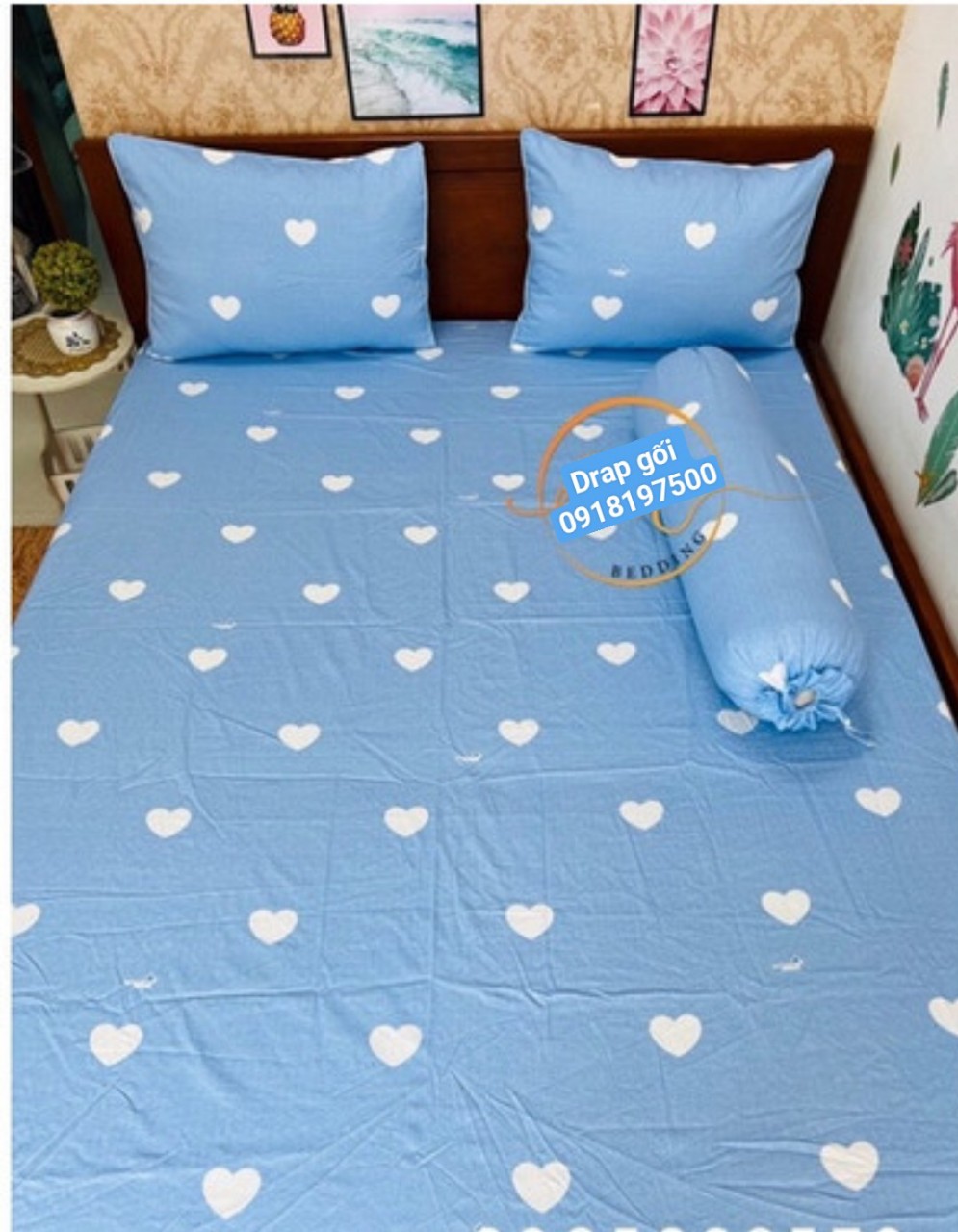 [HCM]Bộ Drap+áo gối 100% vải Cotton Thắng Lợi { 4 MÓN } chọn size khách nhé