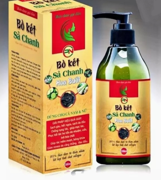 Dầu gội đầu bồ kết ( chính hãng) DG01