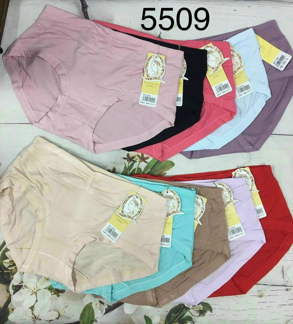 Bộ 5 quần lót nữ cotton mềm mại cao cấp mã 5509 - my loan 42