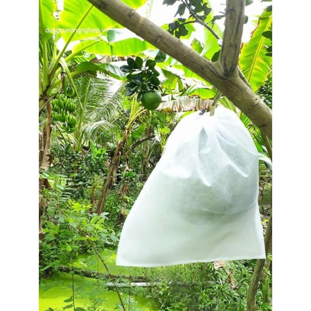 Combo 100 túi bọc trái cây 30X35CM. Bọc bưởi, sầu riêng,...