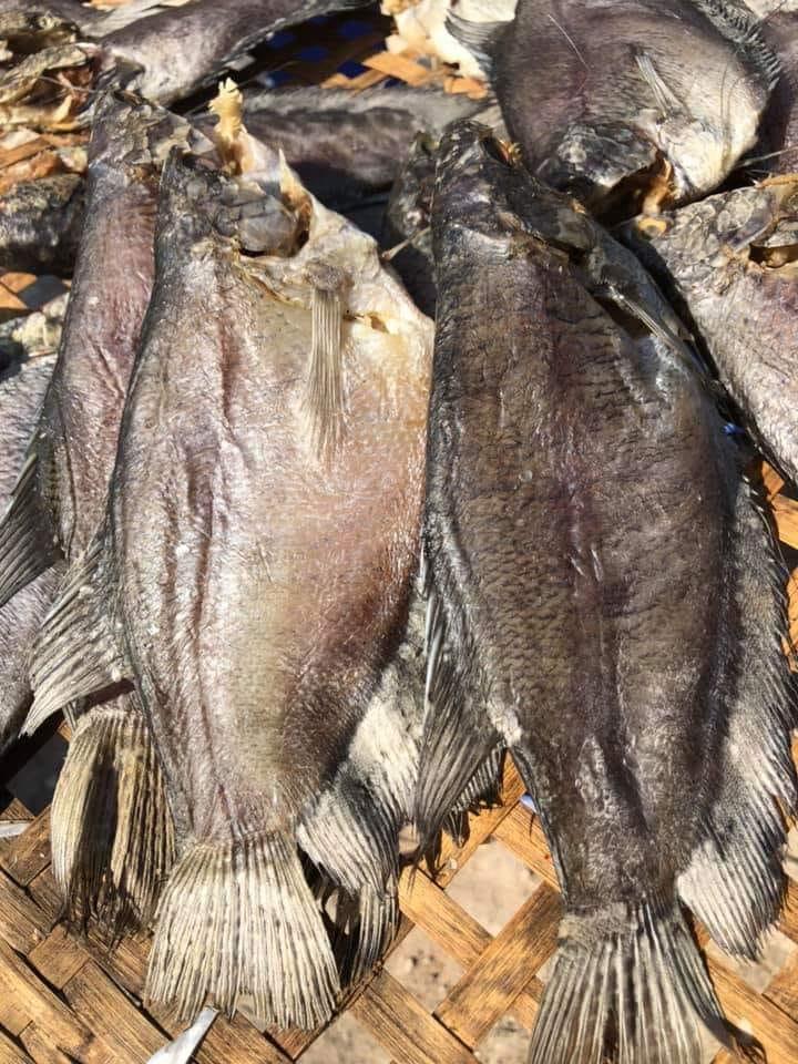 500g khô cá sặc rằn size 10_12 con/kg