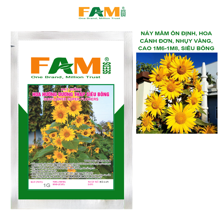 Hạt Giống Hoa Hướng Dương Tháp Siêu Bông - Gói 1g - Giống Nảy Mầm Ổn Định, Chịu Nhiệt Tốt, Cho Nhiều Bông, Màu Sắc Tươi Tắn