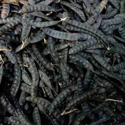1kg quả bồ kết khô