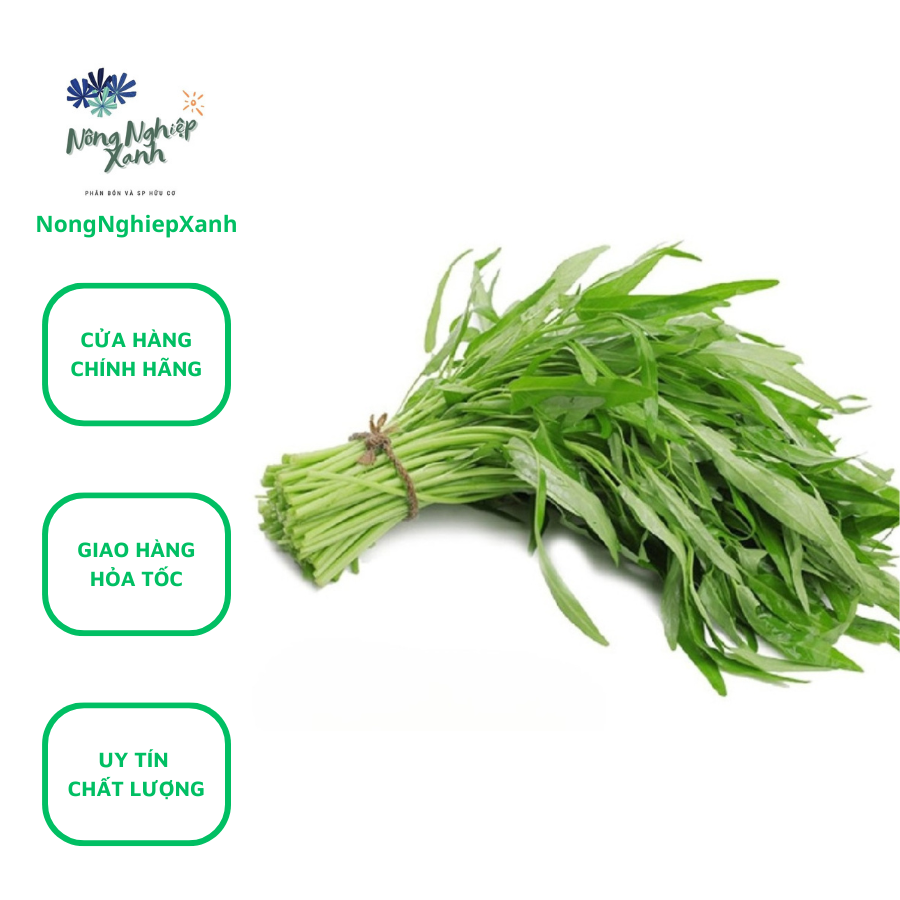 Bộ 2 gói Hạt Giống Rau Muống Lá Tre gói 50gr, hat giong rau sach thuy canh Nongnghiepxanh, rau muong sach