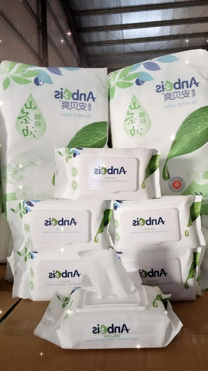 Khăn uớt không mùi anbeis 1 thùng 32 gói 100 tờ có nắp cho bé
