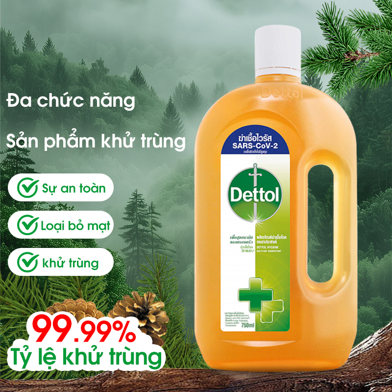 Nước khử trùng đa năng Dettol 750ml - Khử trùng và khử mùi