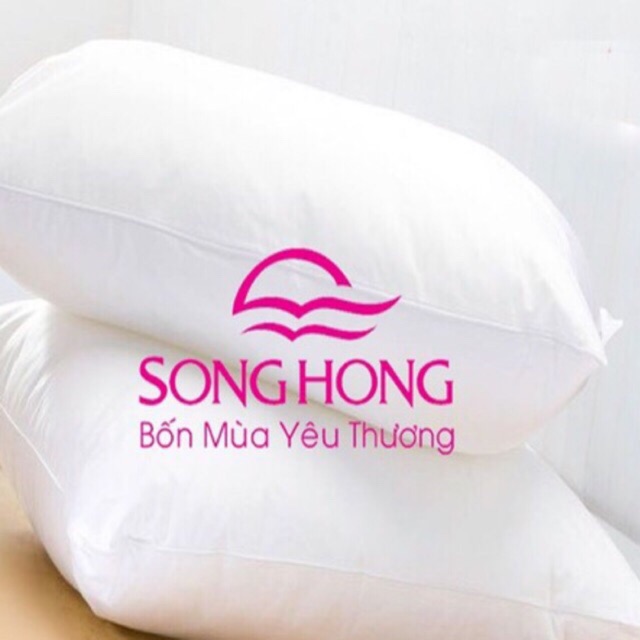 Ruột gối nằm Sông Hồng