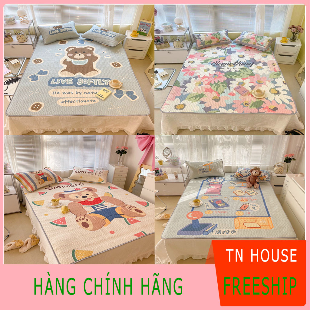 Chiếu điều hòa cao su non cao cấp, chiếu điều hòa 5D tặng kèm 2 vỏ gối [ loại đắt ]