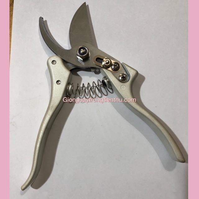 Kéo cắt cành tỉa cây buddy