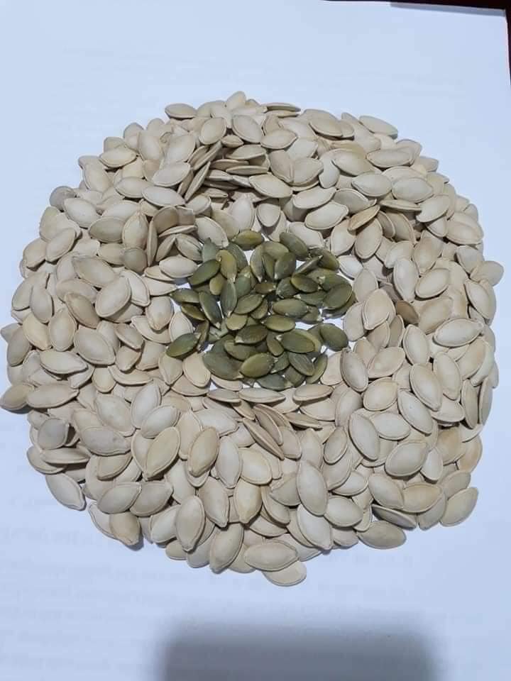 SẢN PHẨM TẾT 500g hạt bí rang chất lượng tốt cho sức khỏe Hàng công ty chuẩn ngon chất lượng