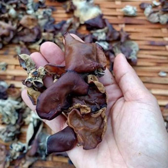 Mộc nhĩ rừng tây bắc - sơn la 1kg