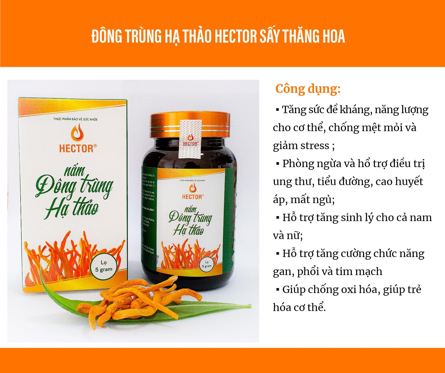 ĐÔNG TRÙNG HẠ THẢO HECTOR 100% NGUYÊN CHẤT (Dạng Sợi Sấy)