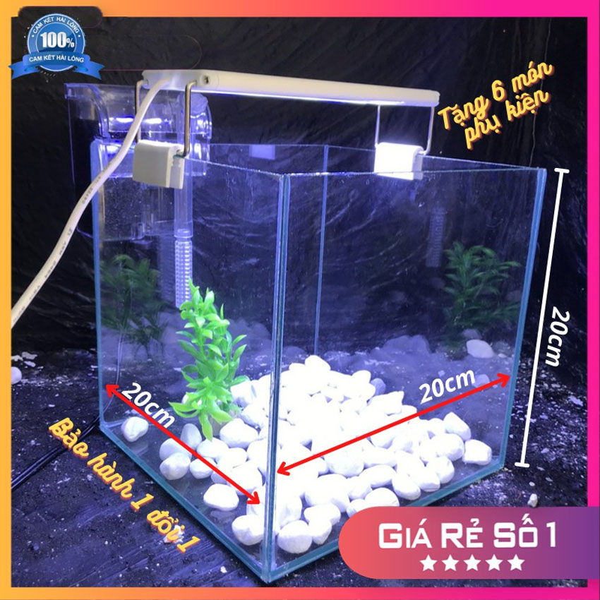 Bể cá mini Cubic 20cm  Combo Hồ Lọc Đèn tặng kèm phụ kiện trang trí, hồ cá mini đẻ bàn nuôi cá cảnh full combo