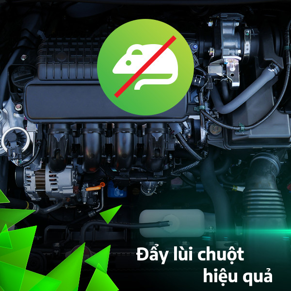 SIÊU XỊT CHUỘT AN TOÀN ĐUỔI SẠCH CHUỘT TRONG NHÀ VÀ XE Ô TÔ CHỈ QUA MỘT ĐÊM